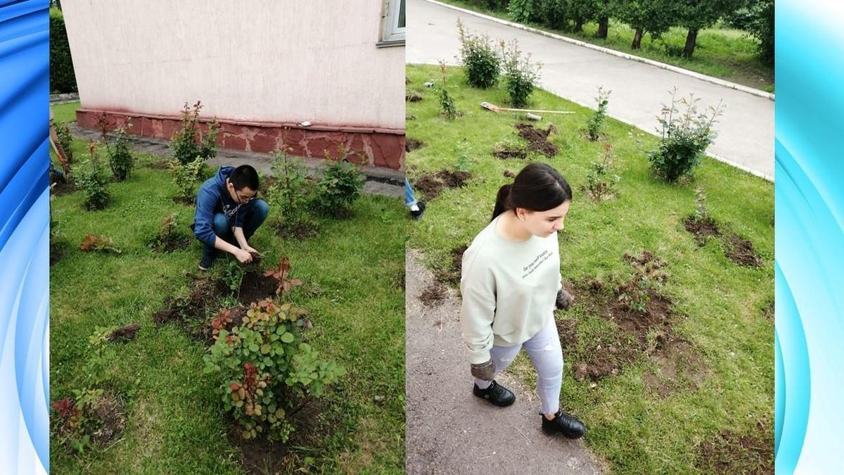 «Аллея выпускников!»