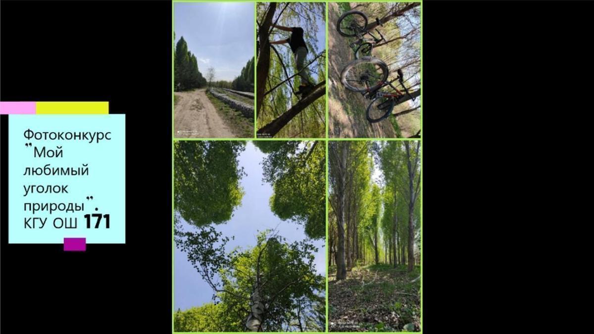 Фотоконкурс "Мой любимый уголок природы"