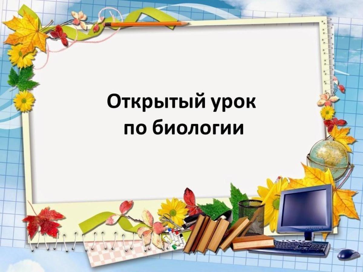 Аманбаева Э.Ж провела открытый урок  