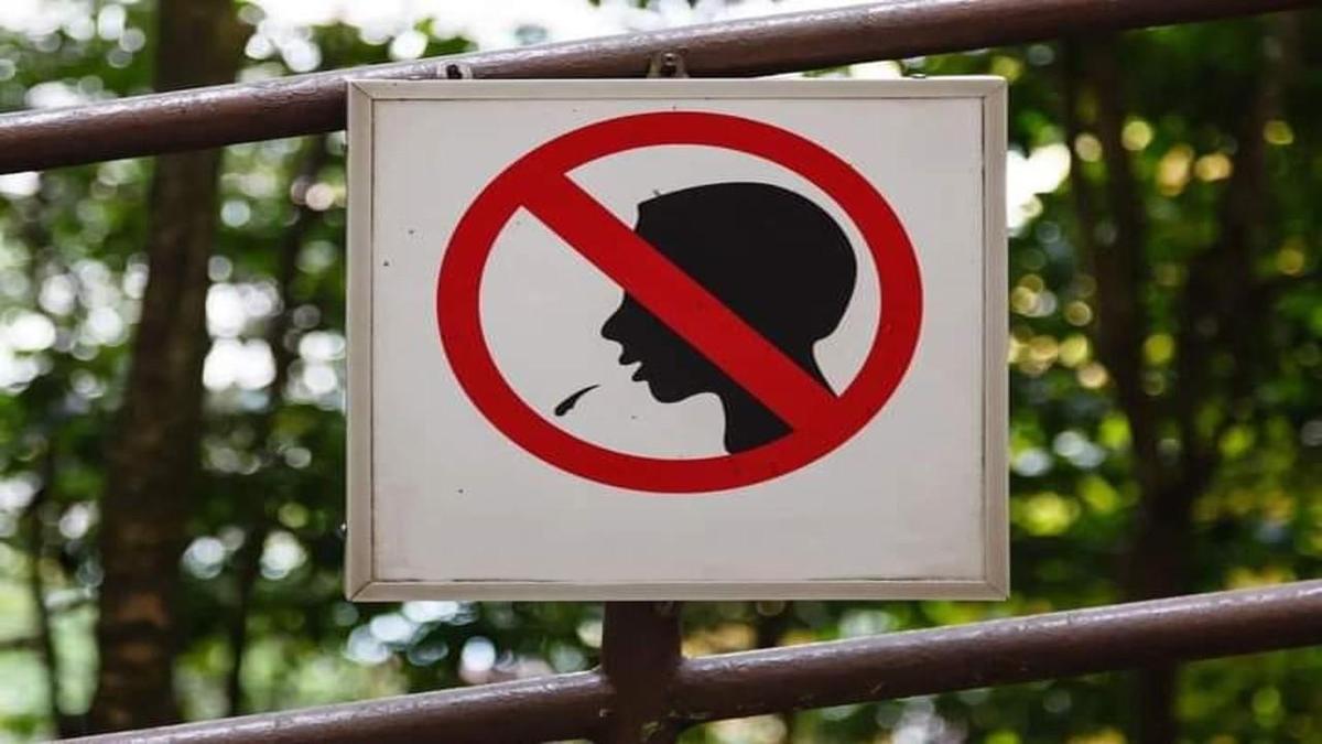 Что видят первым иностранные туристы, приезжающие в Алматы?