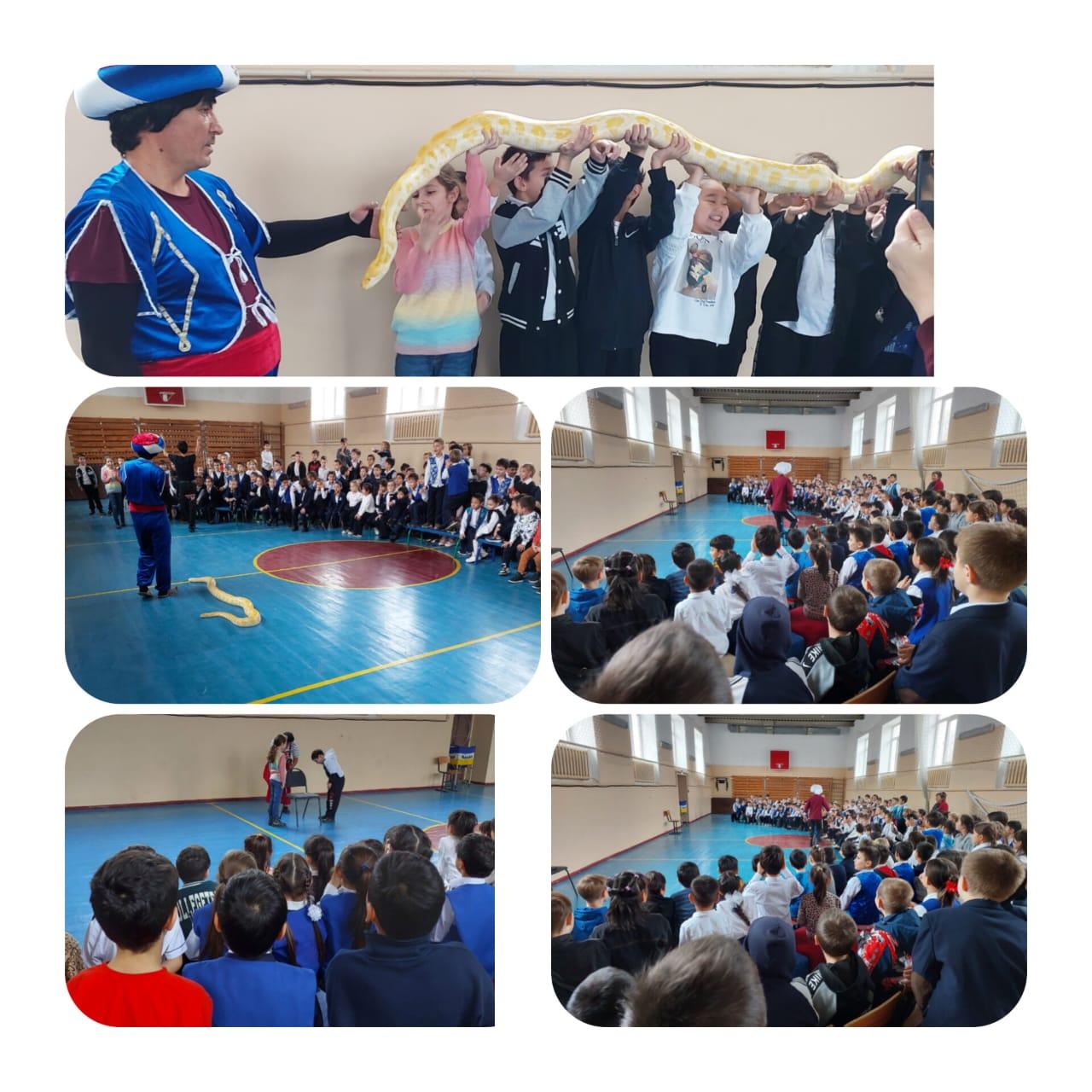 «Сәлем сайқымазақ» цирк